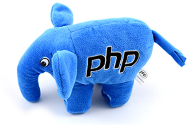 Hiring a Developer