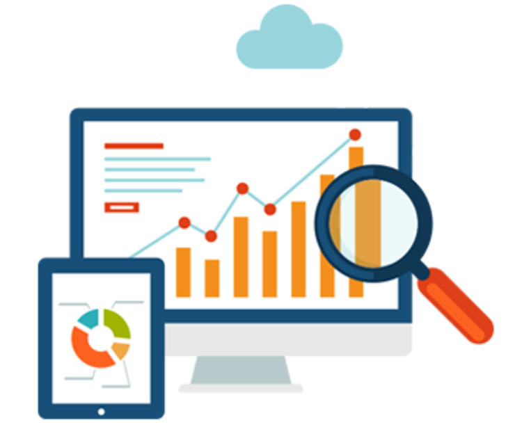 Web Analytics