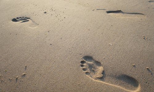 Website visitor tracking