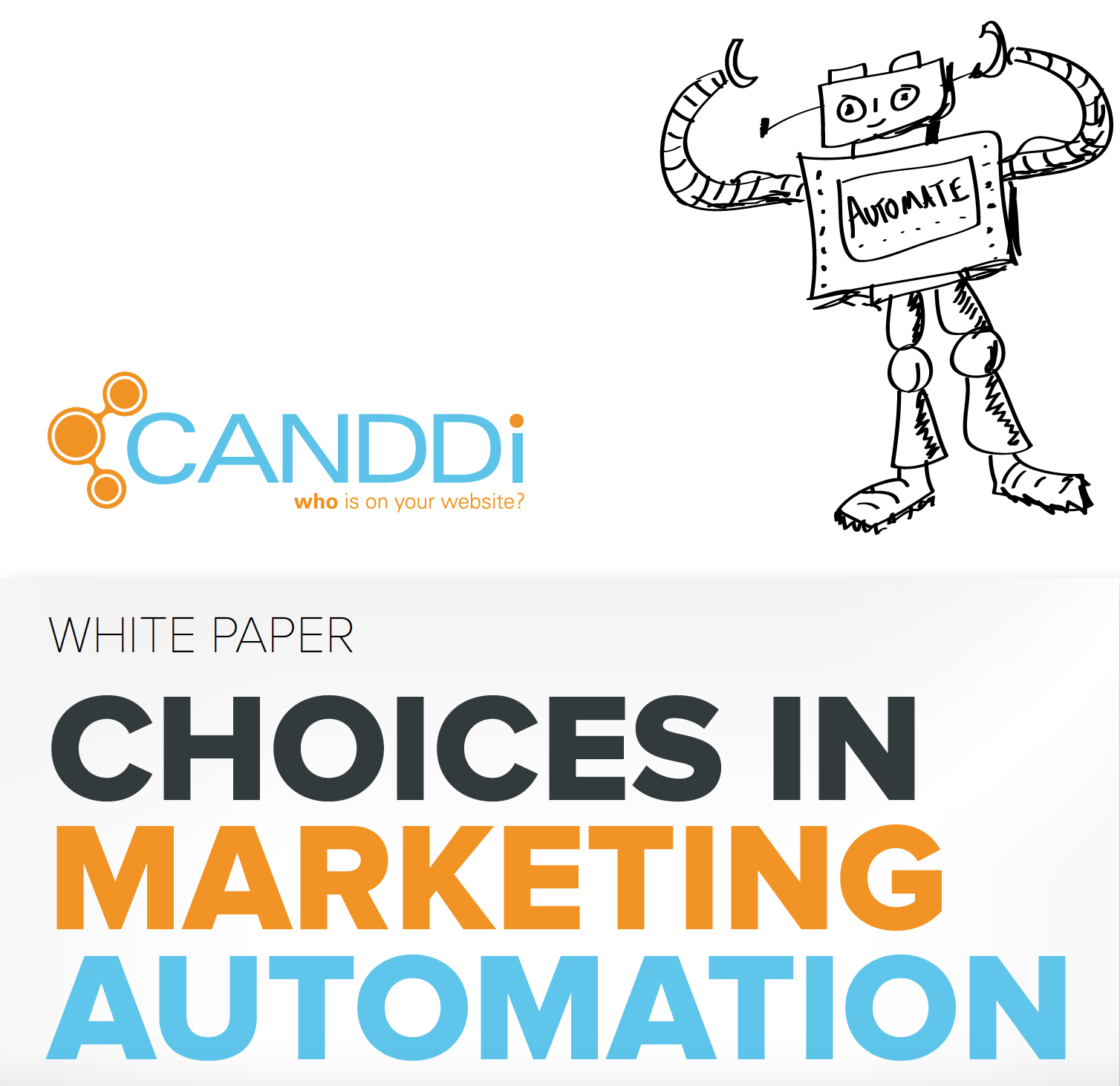 Choices in Marketing Automation