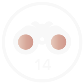 Binoculars
